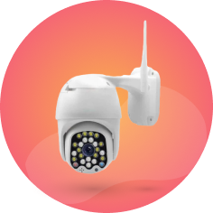 Security Cameras and Alarms