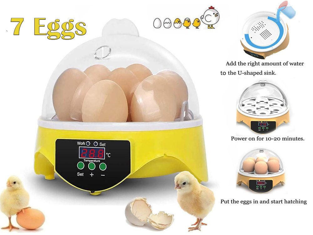 Egg incubator hatcher showing compact size and design