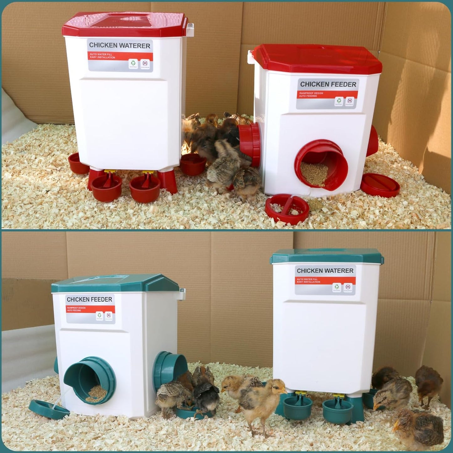 Chicken feeder and drinker set with 11L water capacity