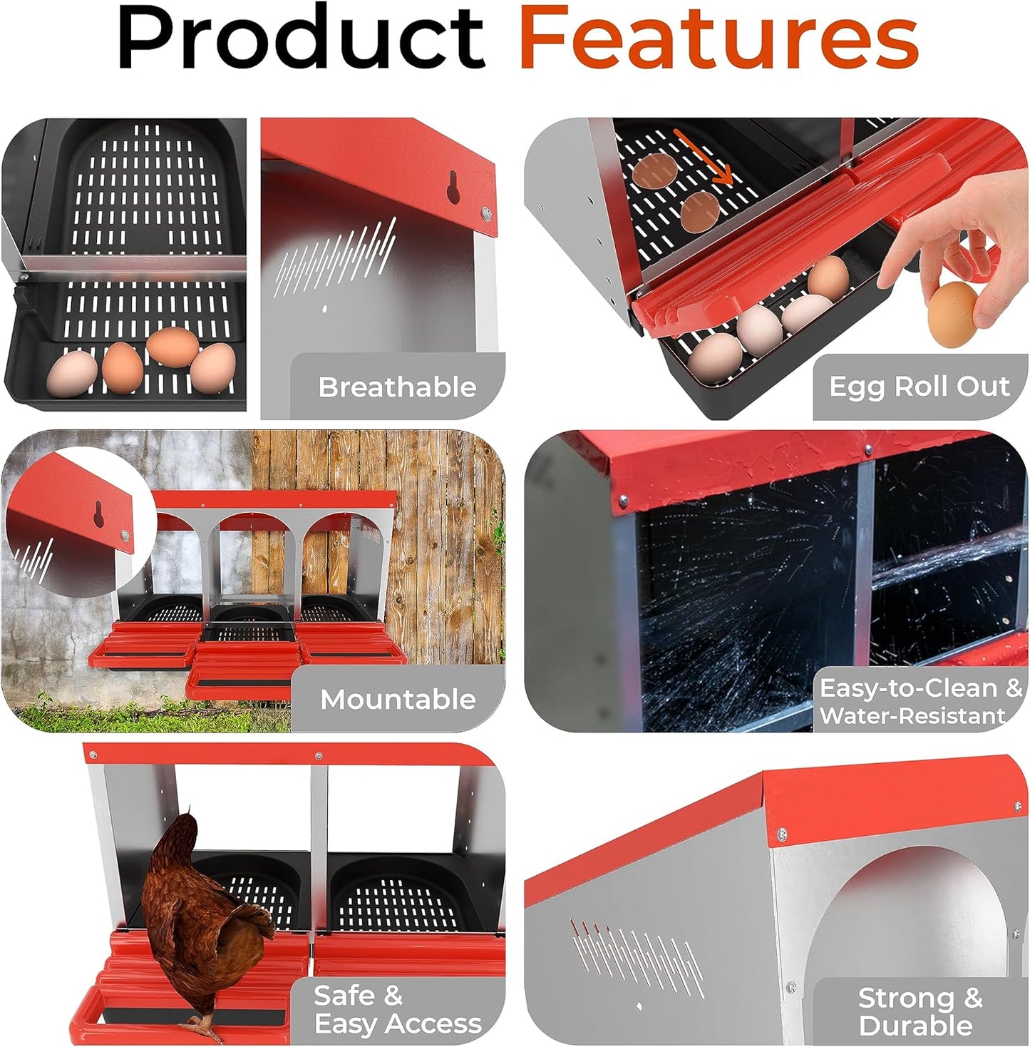 Chicken nesting box showing removable plastic trays for cleaning