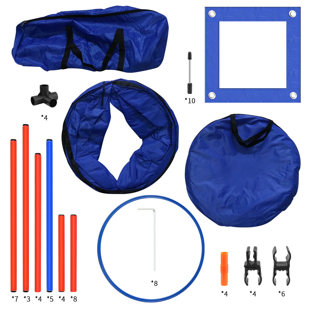 Dog agility equipment set displayed indoors for all-weather use