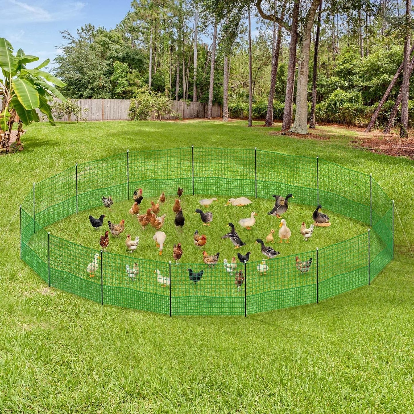 Portable chicken fence packed for easy transport and storage