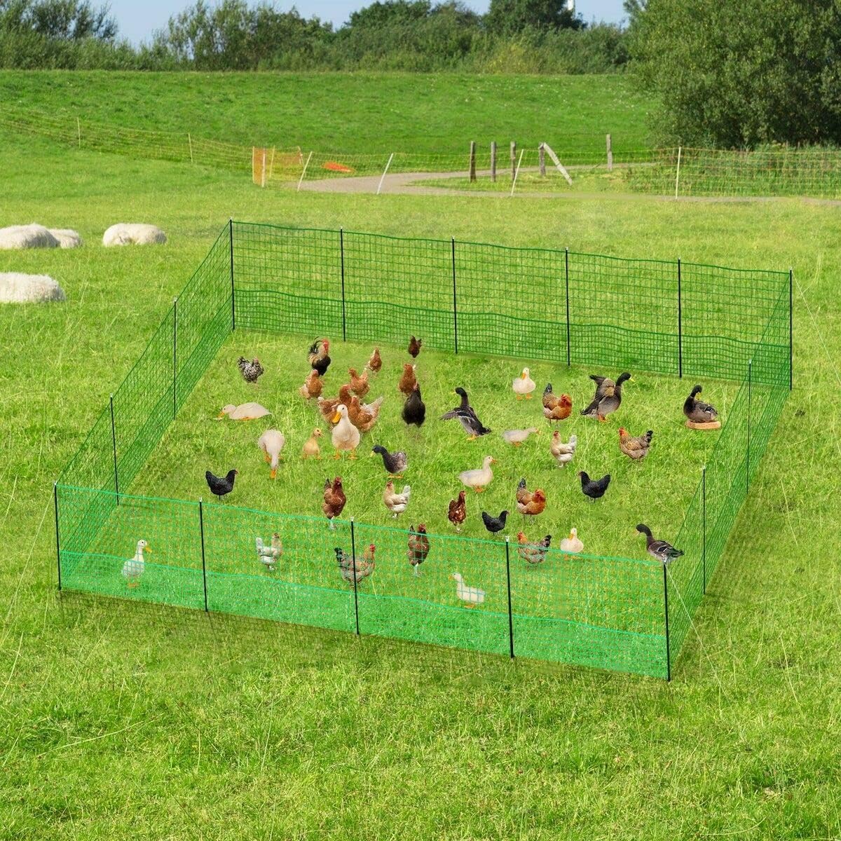 Chicken fence with pegs securing net to ground