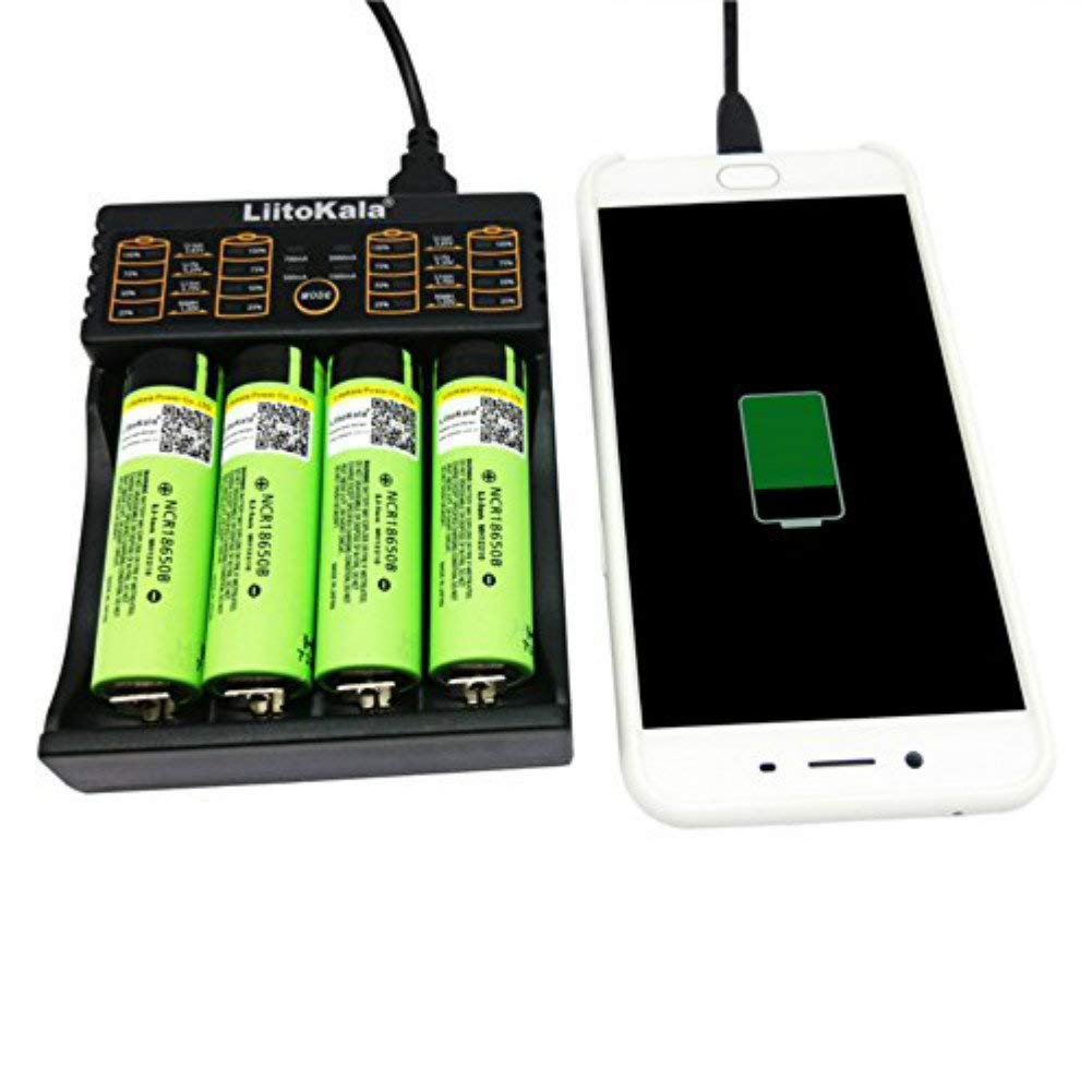 Battery charger displaying safety protection labels