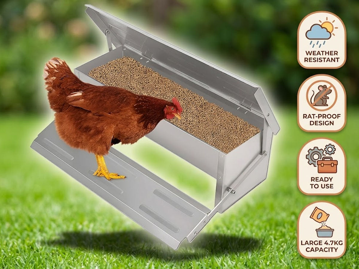 Automatic Chicken Feeder 5kg