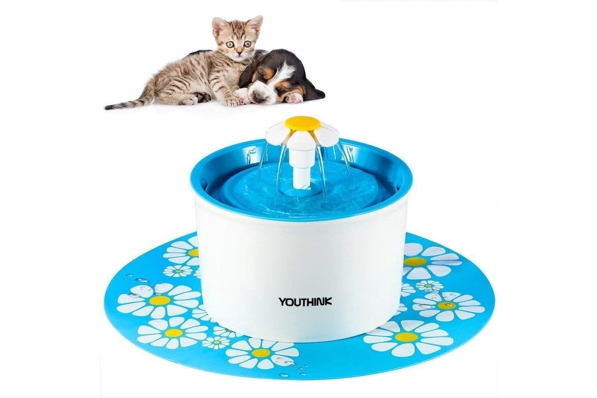 Top view of pet water fountain with activated carbon filter