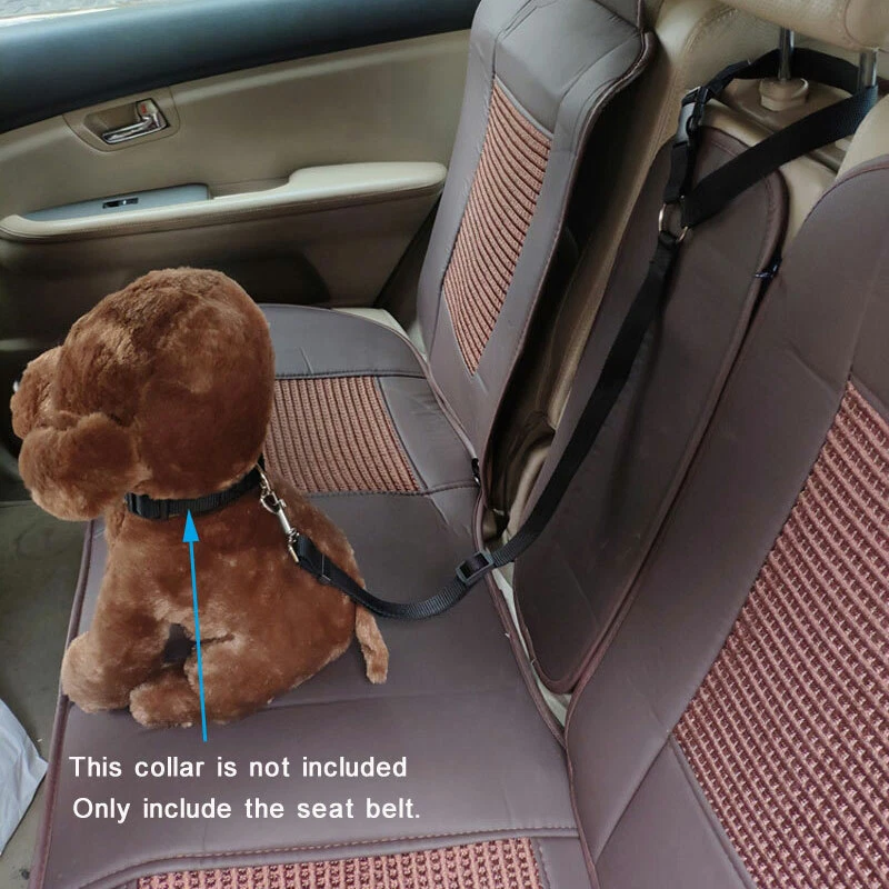 Adjustable Pet Dog Head Collar