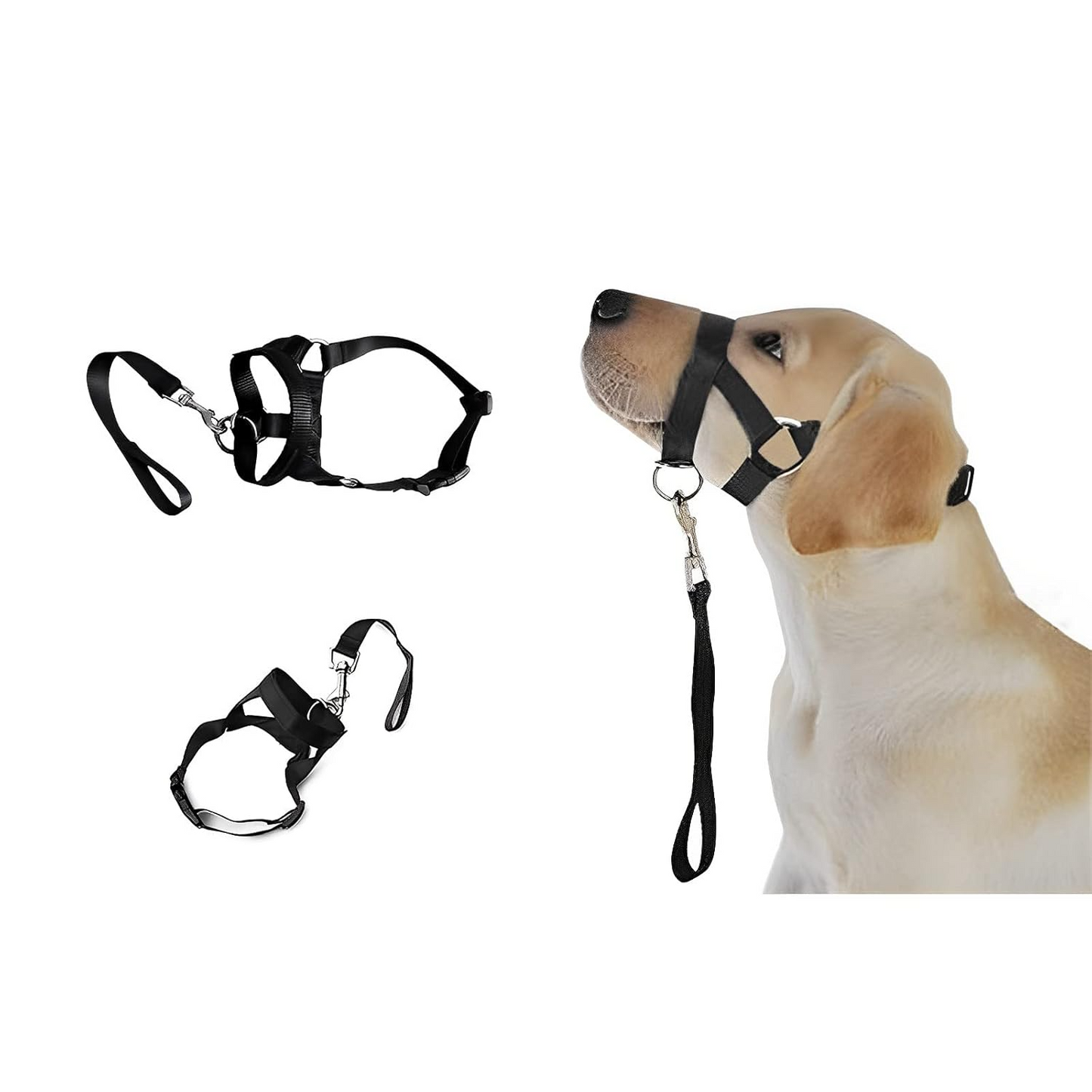 Adjustable dog head collar laid flat with traction rope included