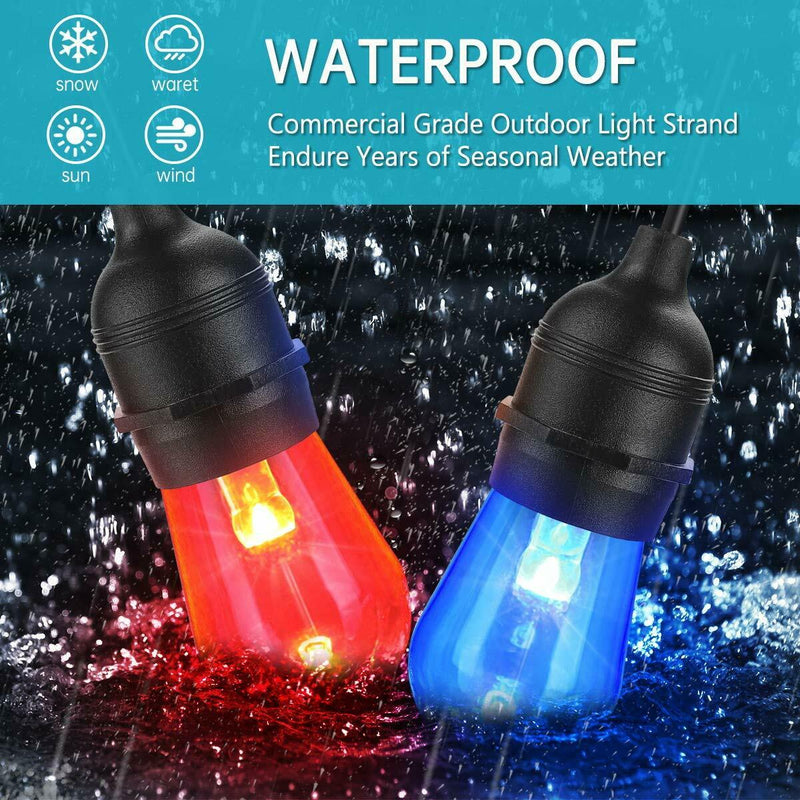 Festoon Lights