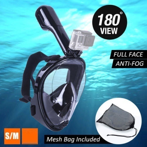 Snorkel Mask