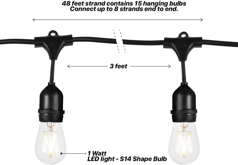 Festoon Light