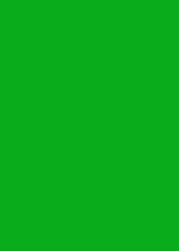 Chromakey Green Screen Backdrop 3mx2m