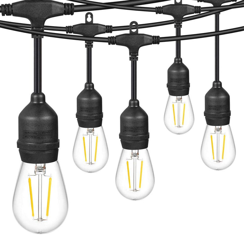 Festoon Lights