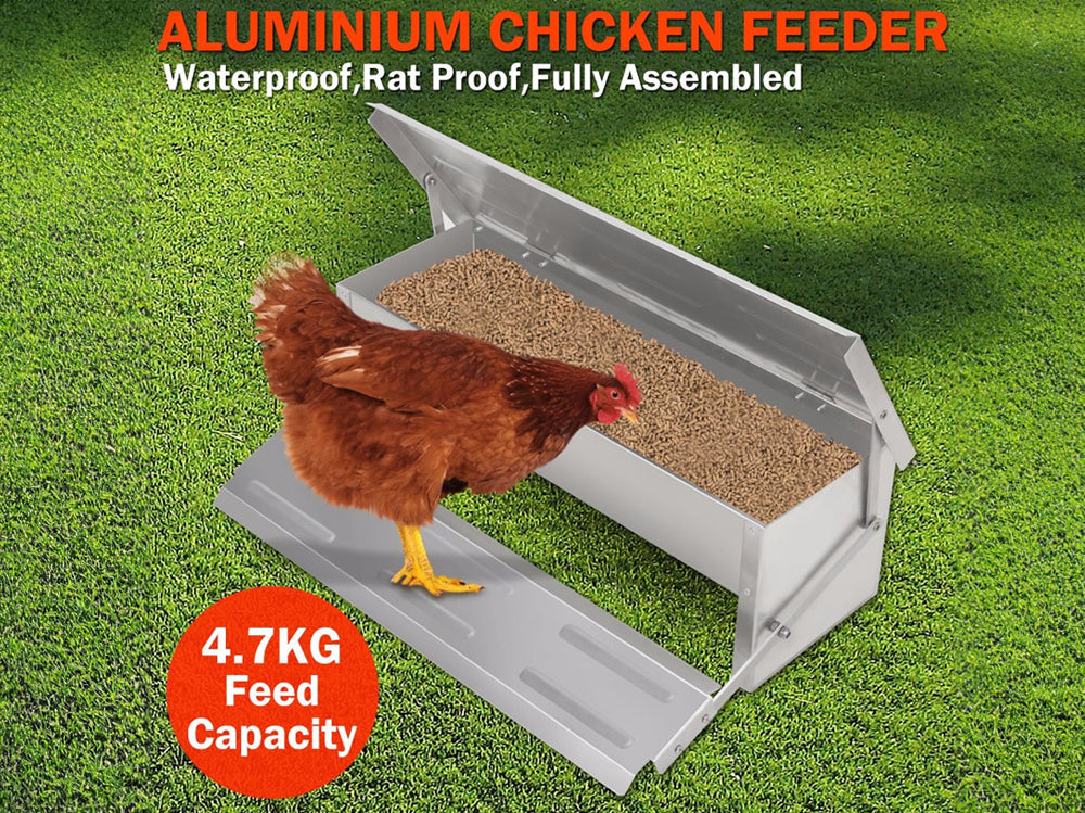 Chicken feeder platform designed for bantam chickens
