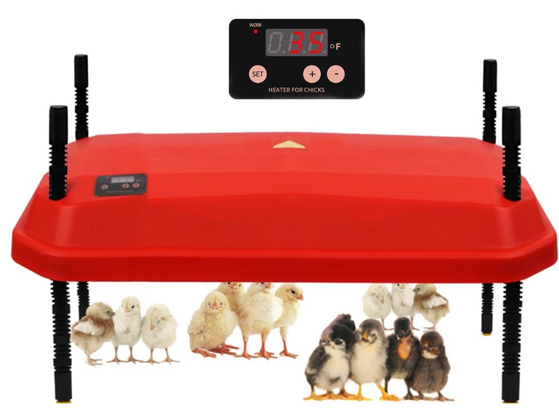 Chicken Heating Plate Brooder