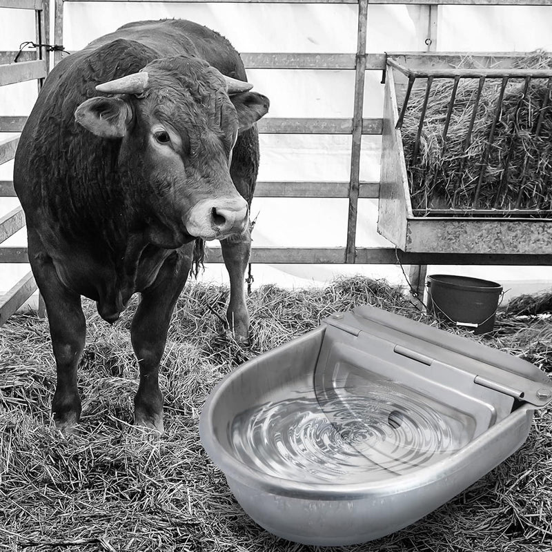 4.5L Drinking Bowl Water Trough for Livestock Cattle Horse Cows