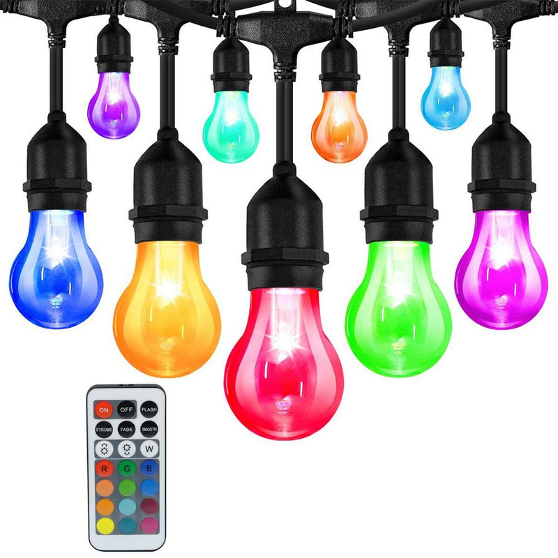 Festoon Lights