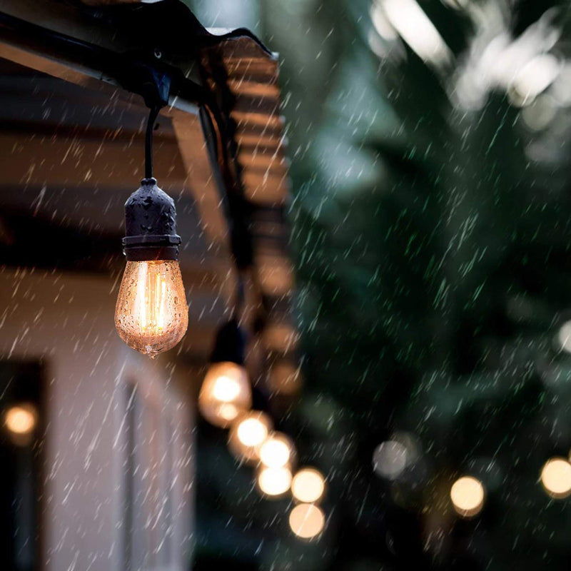 Festoon Lights