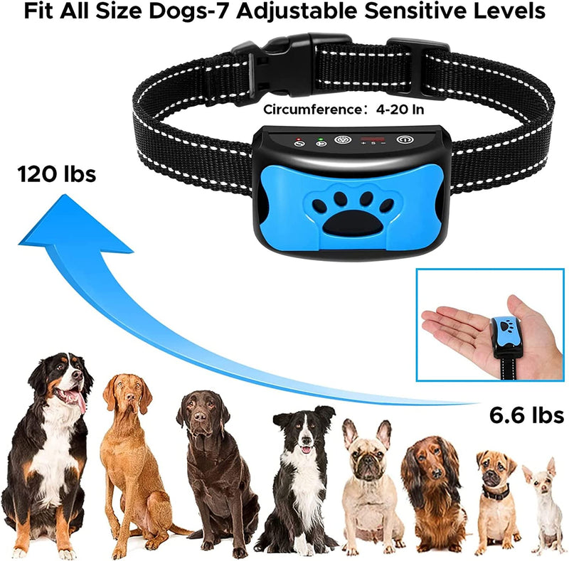 Dog Training Collar Rechargeable