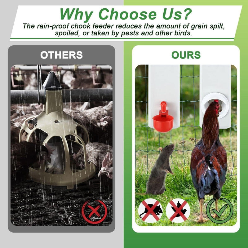 Chicken Feeder Chicken Drinker