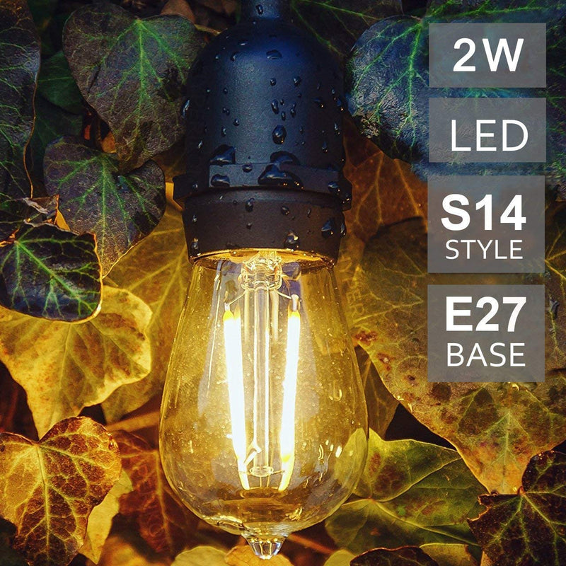 Festoon Light