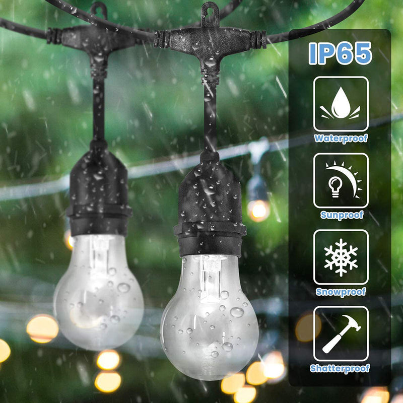 Festoon Lights