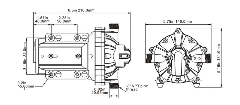 SEAFLO Diaphragm Pump