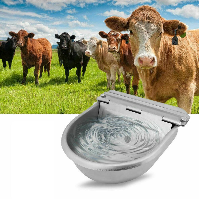 Automatic Drinking Bowl Auto Fill Water Trough Bowl