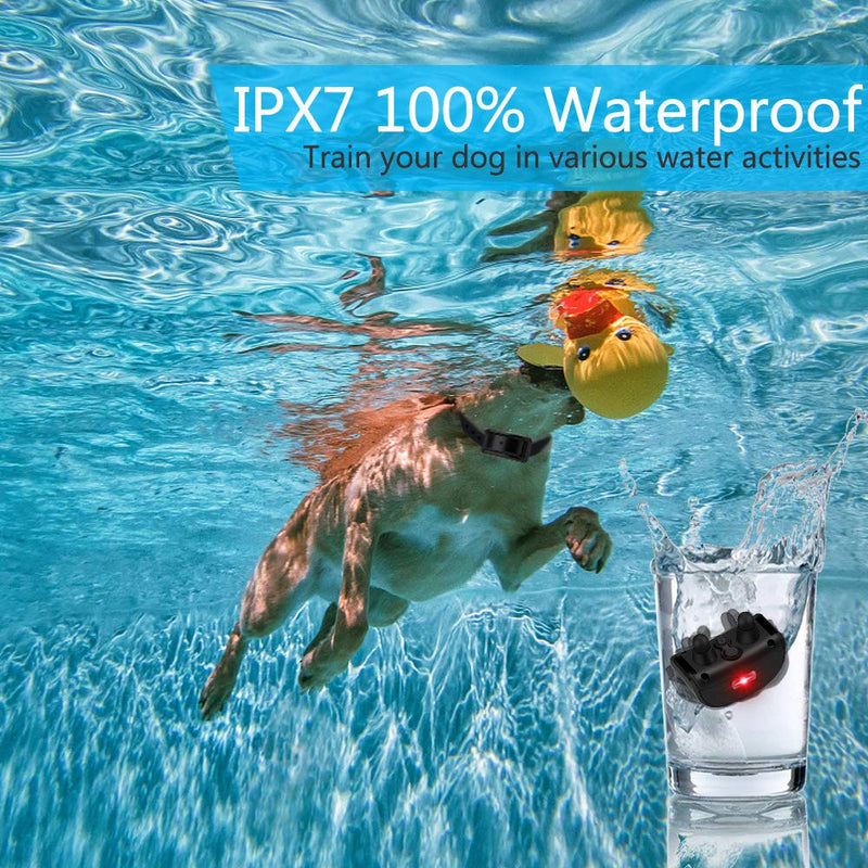 Dog Training Collar LCD Display Rechargeable Waterproof
