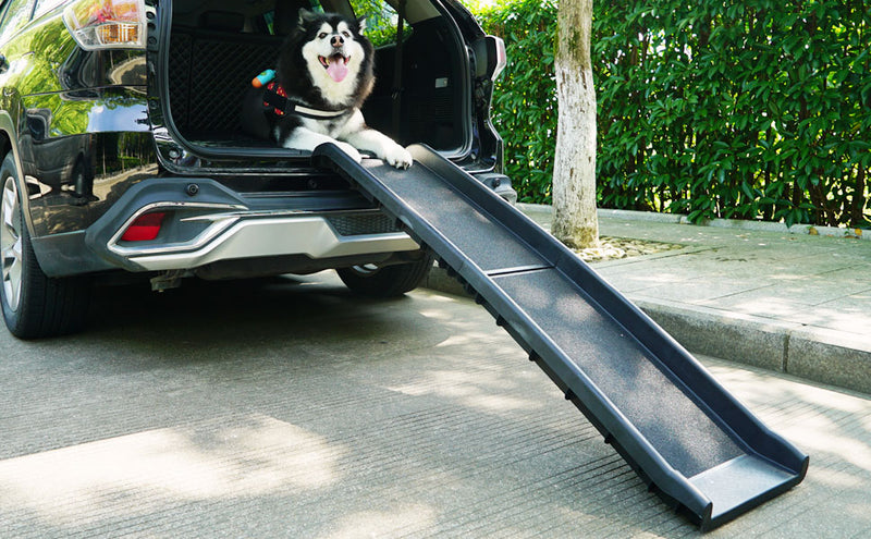 Pet Dog Ramp