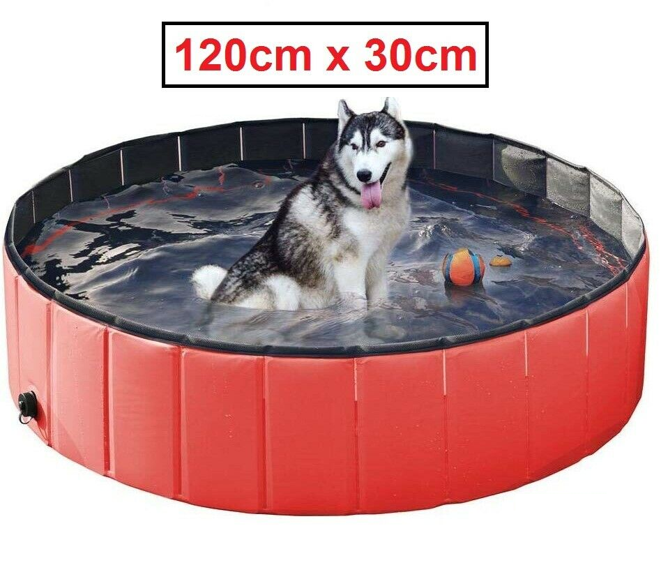 pet_pool_small_S87EENUWF95Y.png