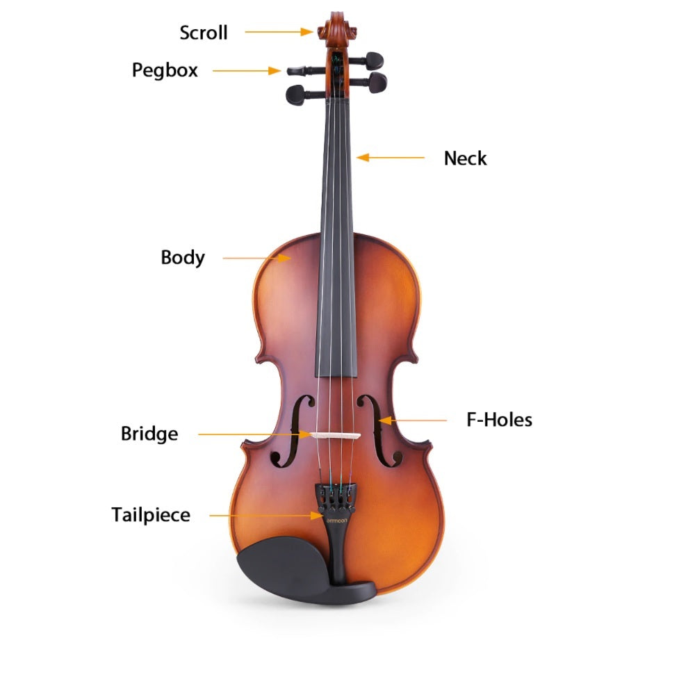 Back view of violin 44 natural wood colour
