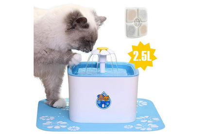 Close up of pet water drinking fountain pump and filter