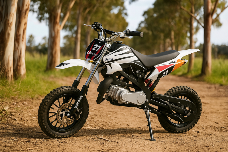 Kids Petrol Bike 49CC Dirt Bike
