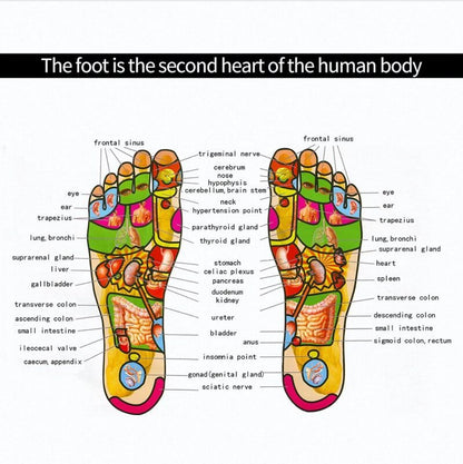 Electric foot massager TENS machine compact size 280 by 300 mm