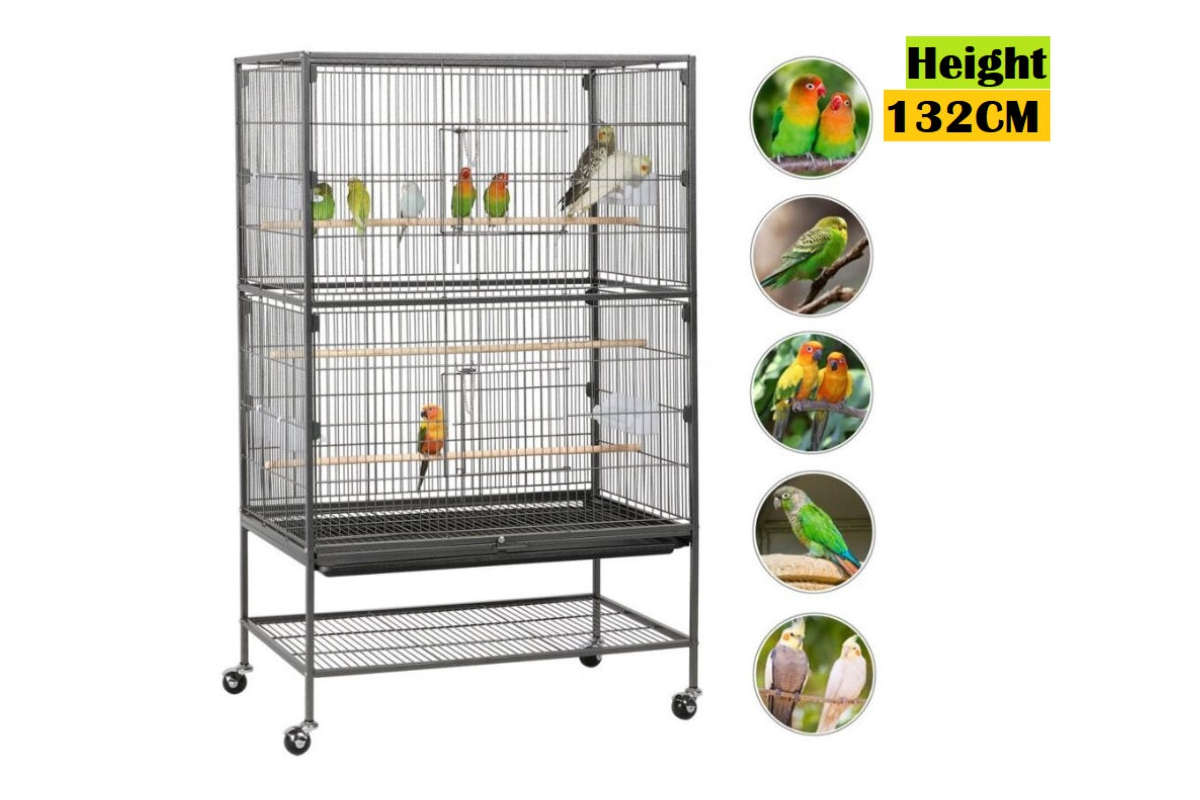 Close up of bird cage parrot aviary perch carrier latch for security