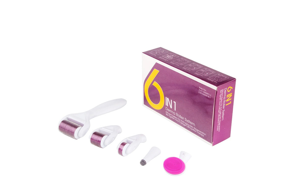 Side view of derma roller 6 in 1 micro needling kit with storage case