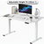 Height Adjustable Desk Table
