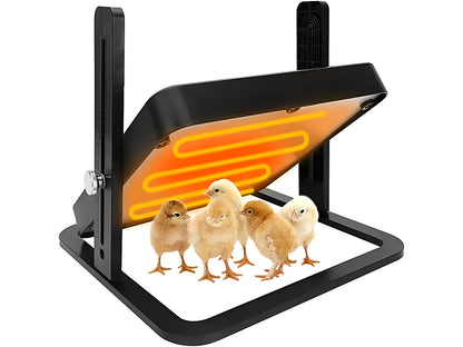 Chicken brooder plate heating surface with even warmth distribution