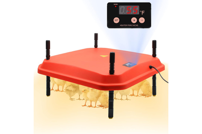 Side view of chicken heating plate brooder with flame-retardant shell