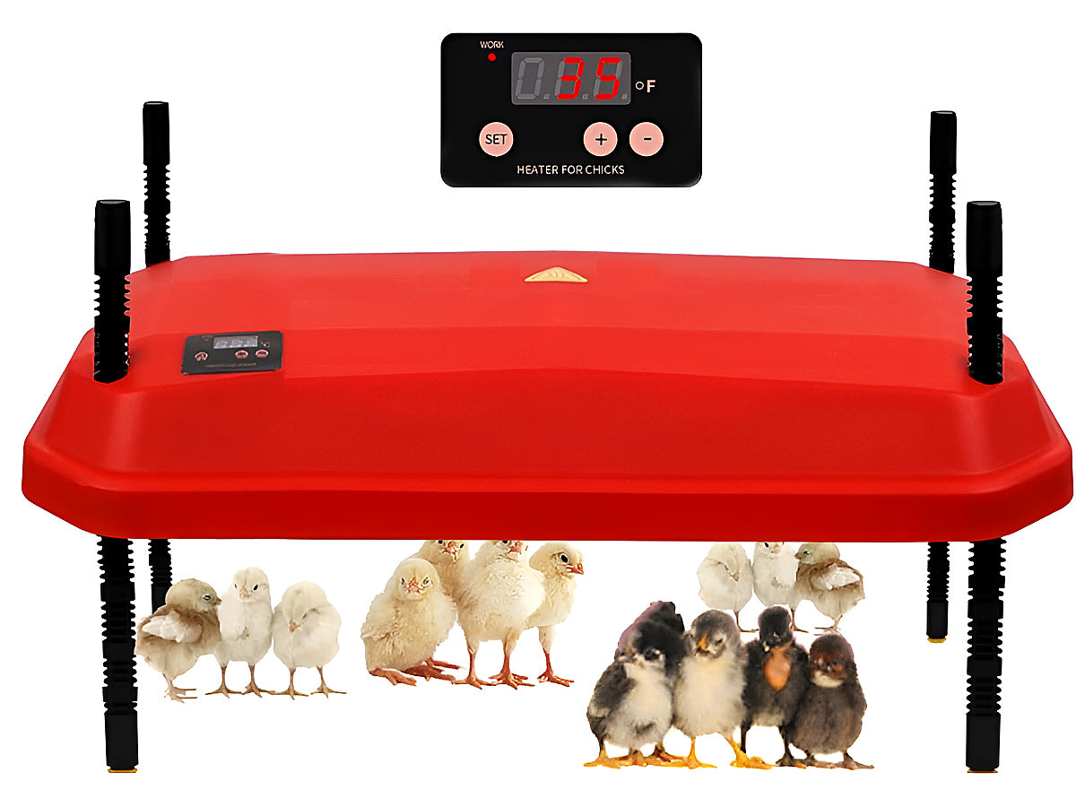 Close up of chicken heating plate brooder LED temperature display