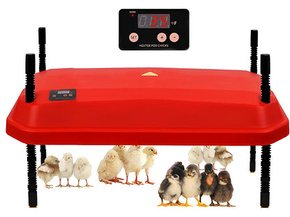 Close up of chicken heating plate brooder LED temperature display