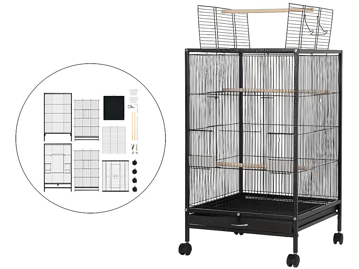 Bird Cage
