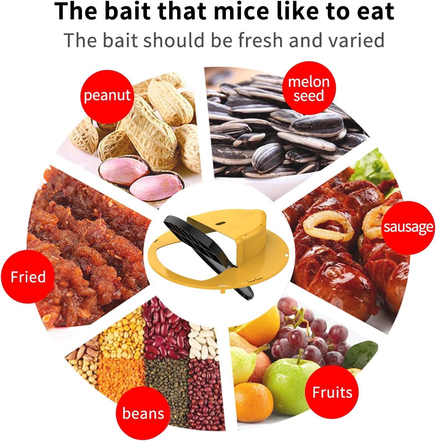 Pest Possums Trap Rat trap Mouse Trap