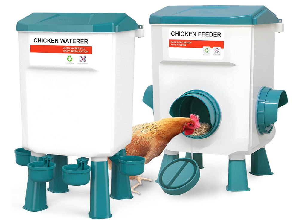Chicken Feeder Chicken Drinker