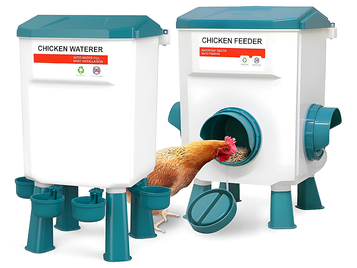 Chicken Feeder Chicken Drinker
