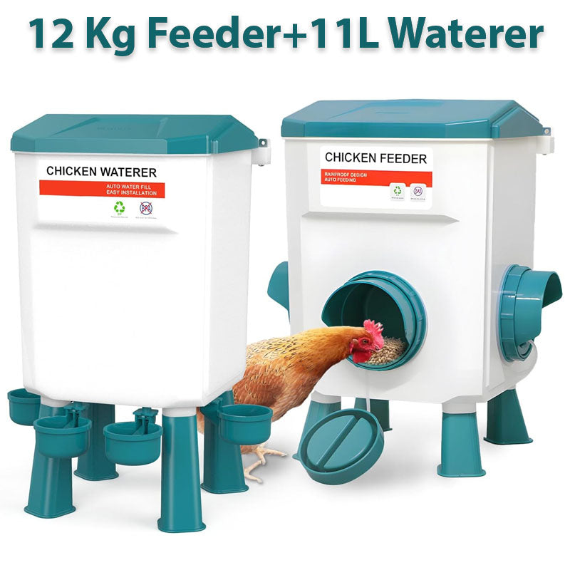 Chicken Feeder Chicken Drinker