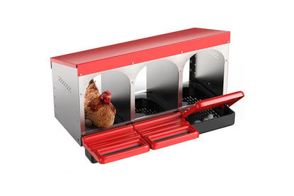 Top view of chicken nesting box with three compartments and plastic trays