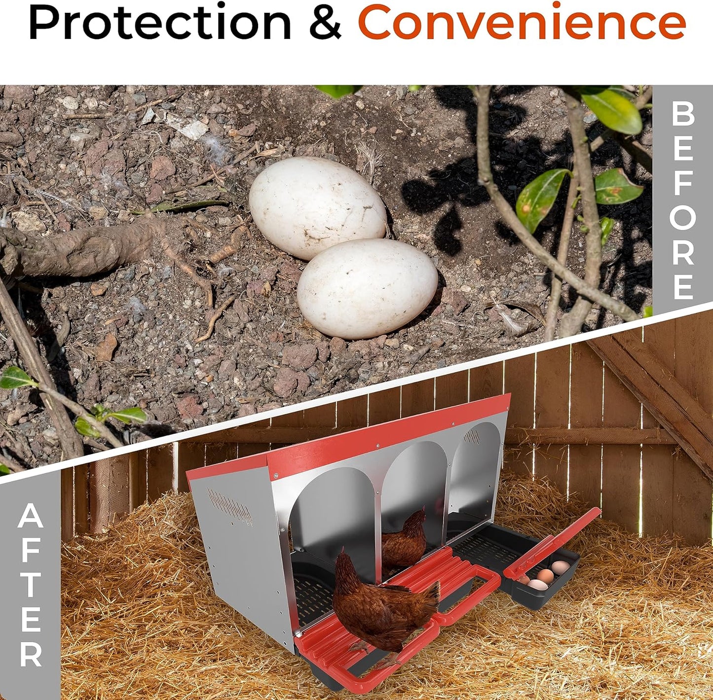 Chicken Nesting Box Egg Perch