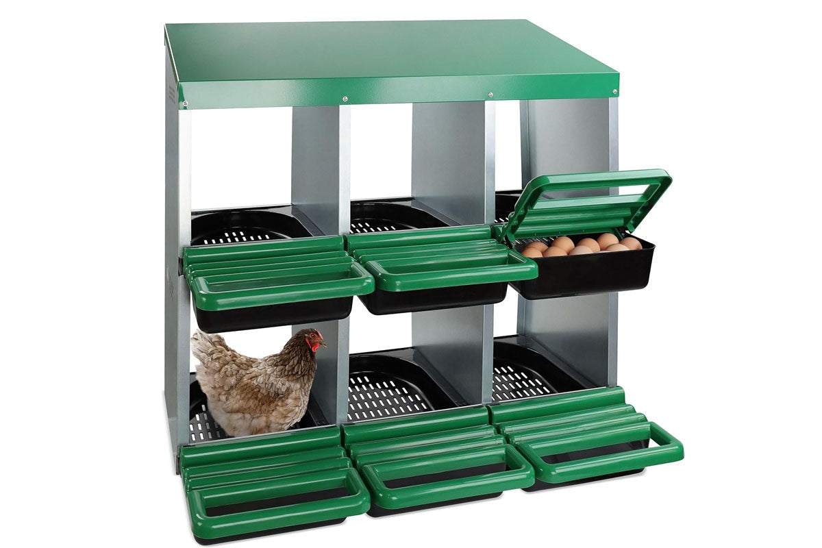 Side view of nesting box chicken hen with plastic removable trays